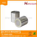 Custom cast strong neodymium alnico ring speaker magnet